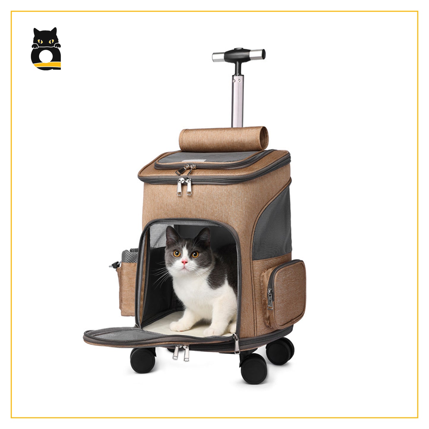 Airline Approved Carrier for Your Loving Pet