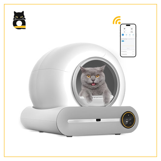 Catty's Intelligent Self-Cleaning Cat Litter Box
