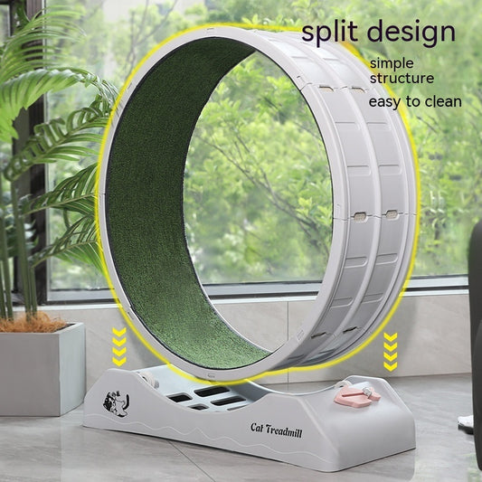 Silent Pet Roller Treadmill