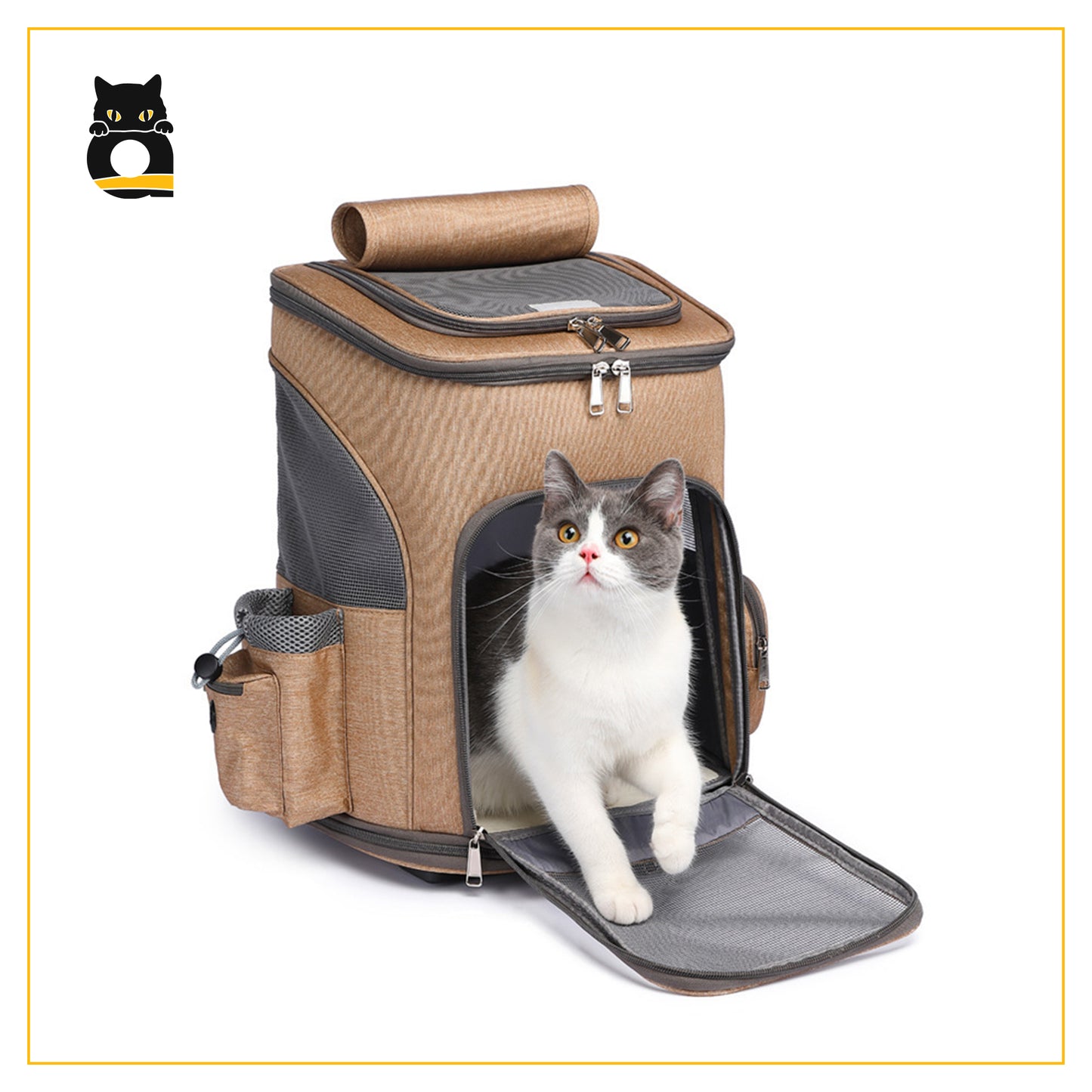 Airline Approved Carrier for Your Loving Pet