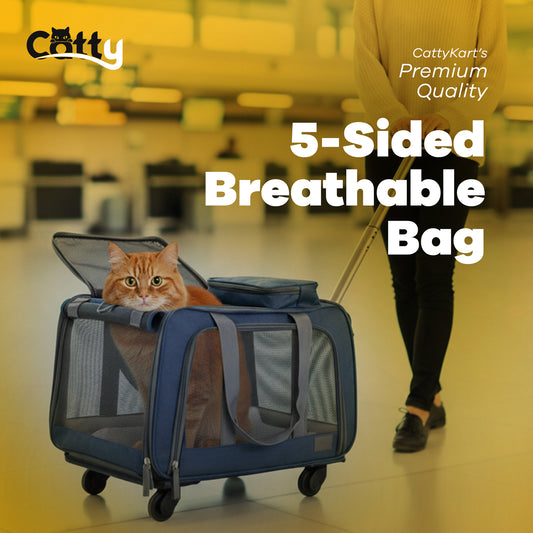 5-Sided Breathable Cat Travel Bag