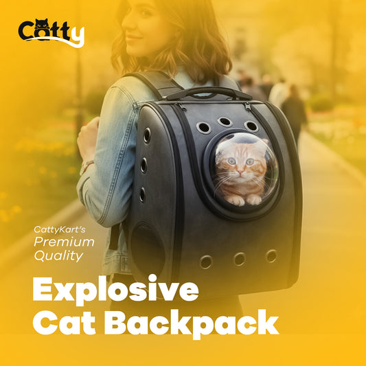 Explosive Cat Backpack