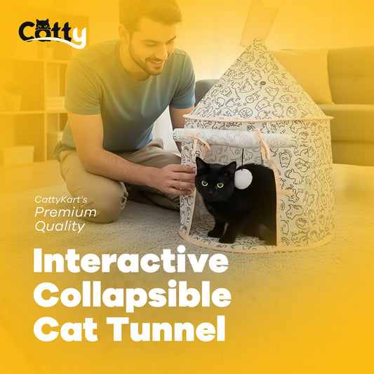 Interactive Collapsible Cat Tunnel