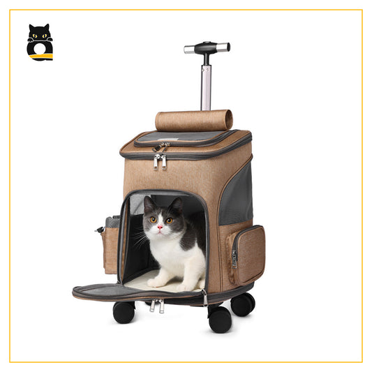 Airline Approved Carrier for Your Loving Pet