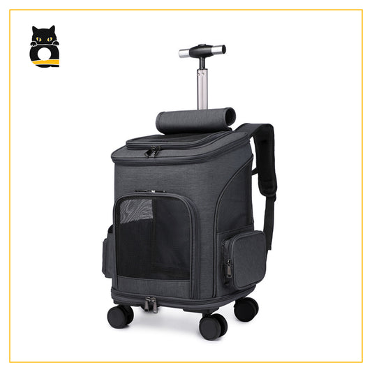 Airline Approved Carrier for Your Loving Pet