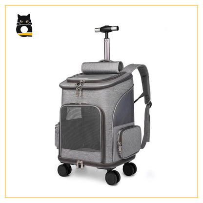 Catty SkyComfort Carrier