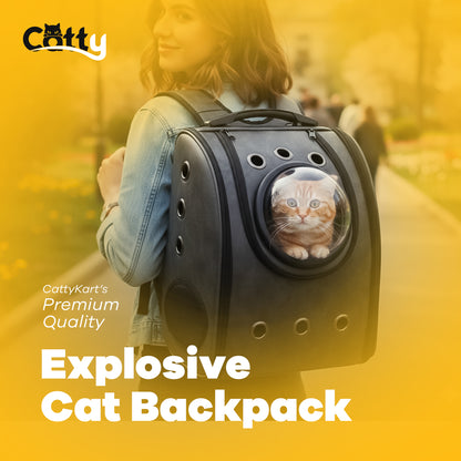 Explosive Cat Backpack