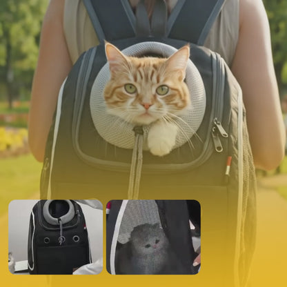 Cat Backpack Carrier – Breathable & Comfortable Travel Bag by Cattykart™